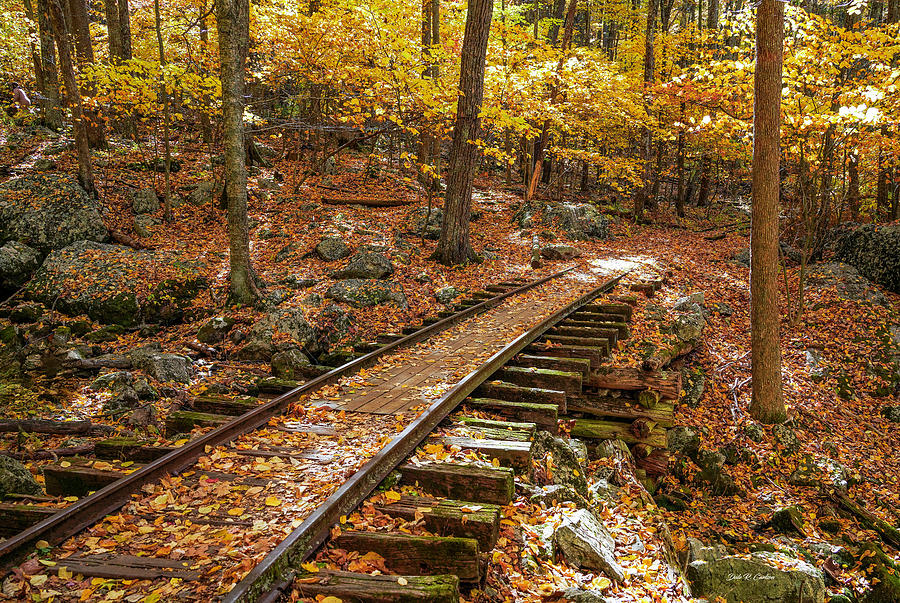 Autumn on the Rails Photograph by Dale R Carlson