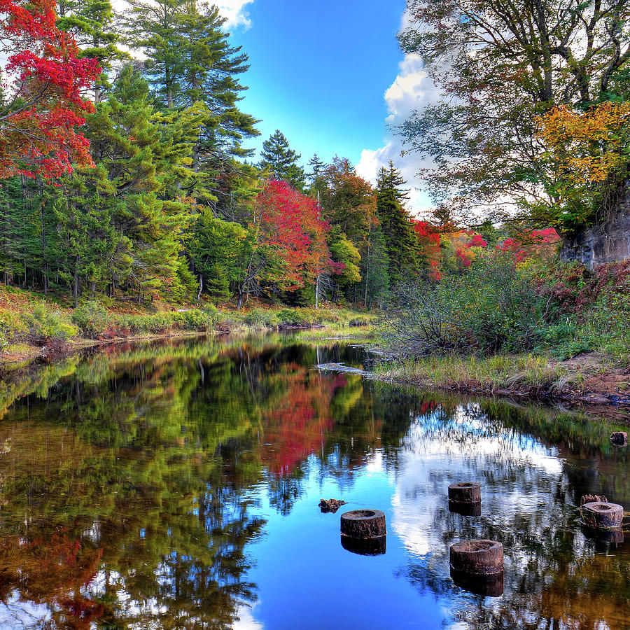 Autumn on the River Photograph by David Patterson