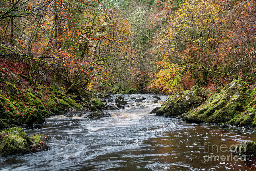 Autumn on the River Findhorn Photograph by Tim Gainey