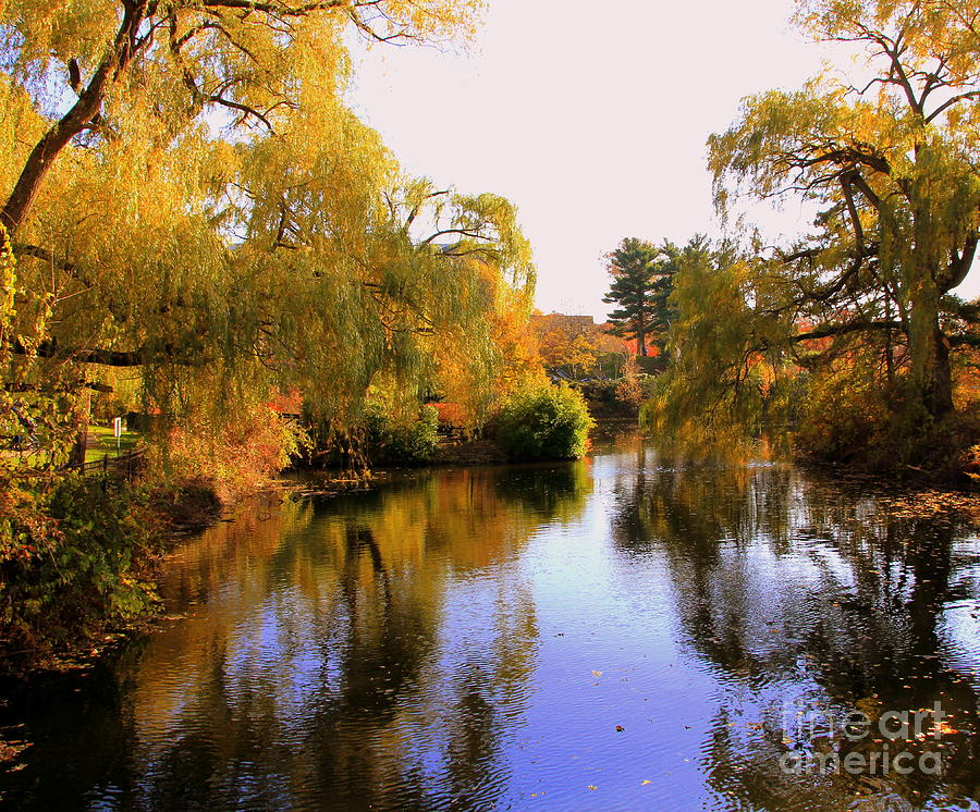 Autumn on the river Photograph by Lennie Malvone