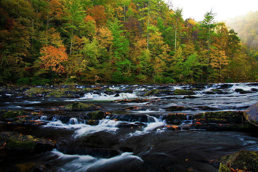 Autumn on the Tellico River Photograph by Andy Crawford