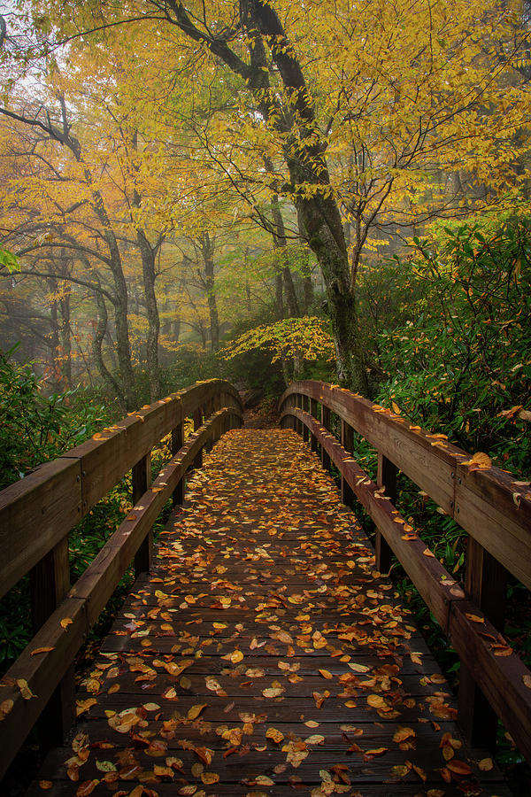 Autumn on the Trail Photograph by Robert J Wagner