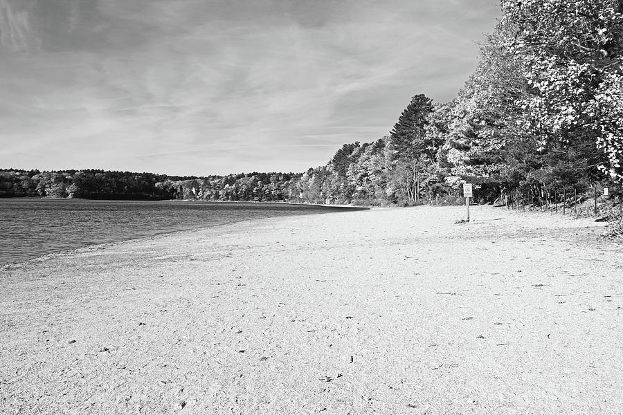 Autumn on Walden Pond Concord MA Black and White Photograph by Toby McGuire