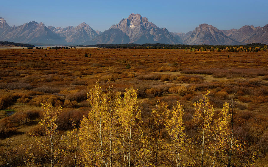 Autumn On Willow Flats Photograph by Dan Sproul