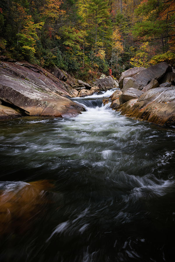 Autumn On Wilson Creek Photograph