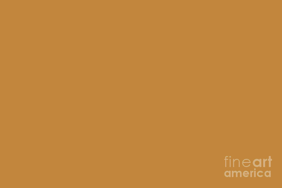 Autumn Orange Brown Solid Color Pairs Sherwin Williams Gold Coast SW 6376 Digital Art by PIPA Fine Art - Simply Solid