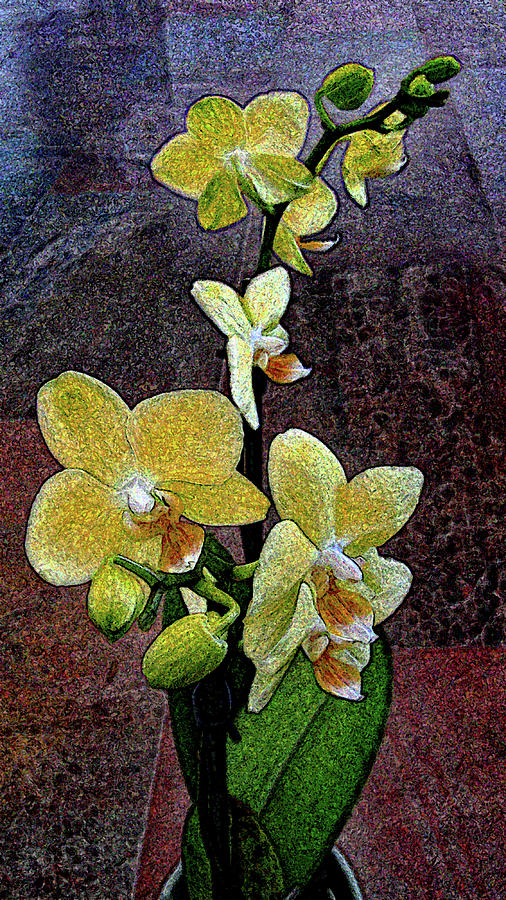 Autumn Orchids Photograph by Corinne Carroll