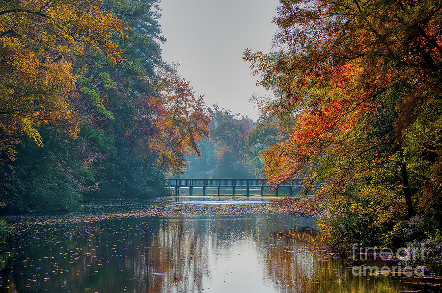 Autumn over the Lake Photograph by Robert Anastasi