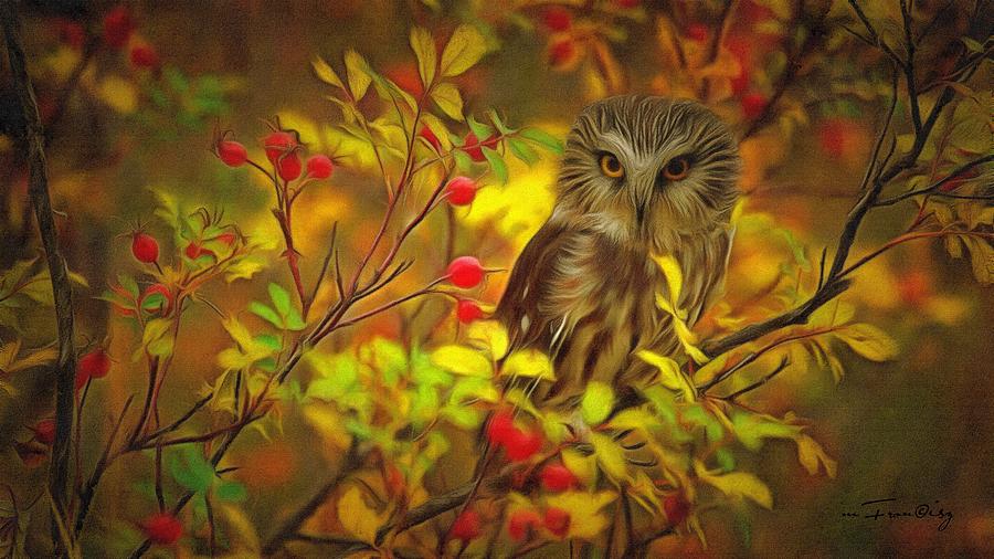 Portrait Digital Art - Autumn Owl II by Maciek Froncisz