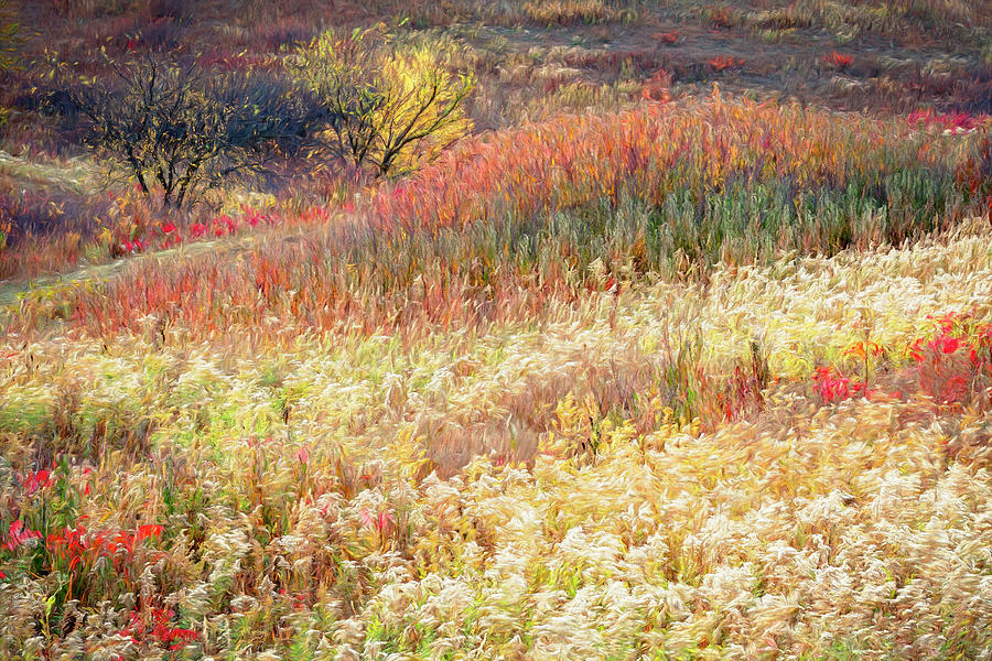 Autumn Palette Photograph by Brad Mangas