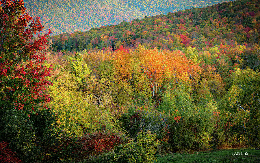 Autumn Palette Photograph by Jim Carlen