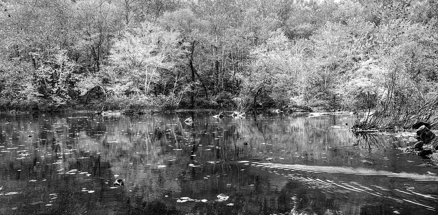 Autumn Palette Panorama Black and White Photograph by Debra and Dave Vanderlaan