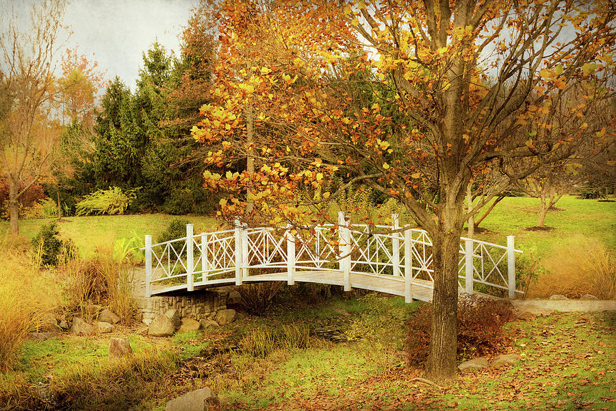 Autumn - Paradise bridge Photograph by Mike Savad