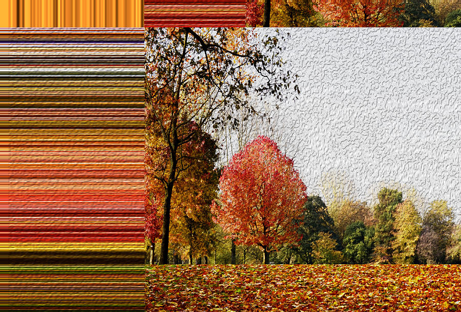 Autumn parc with horozontal color stripes Photograph by Eversofine