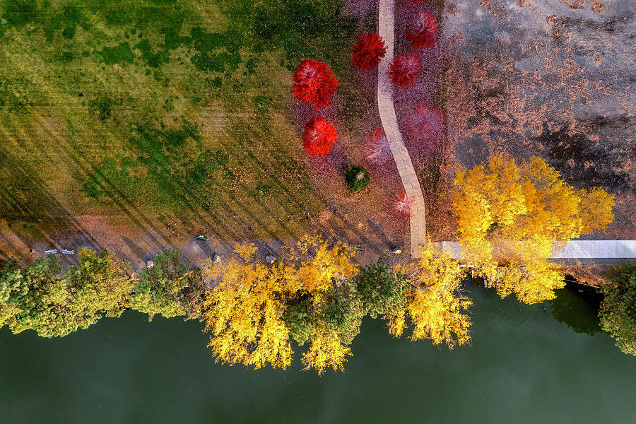 Autumn Park Design Photograph by Christopher Johnson