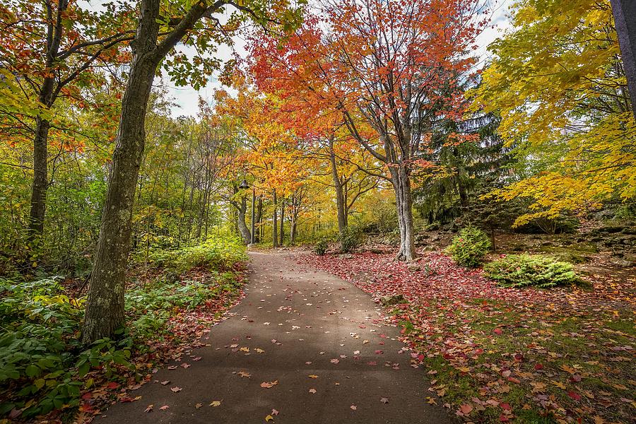 Enger Park in Autumn Photograph by Susan Rydberg