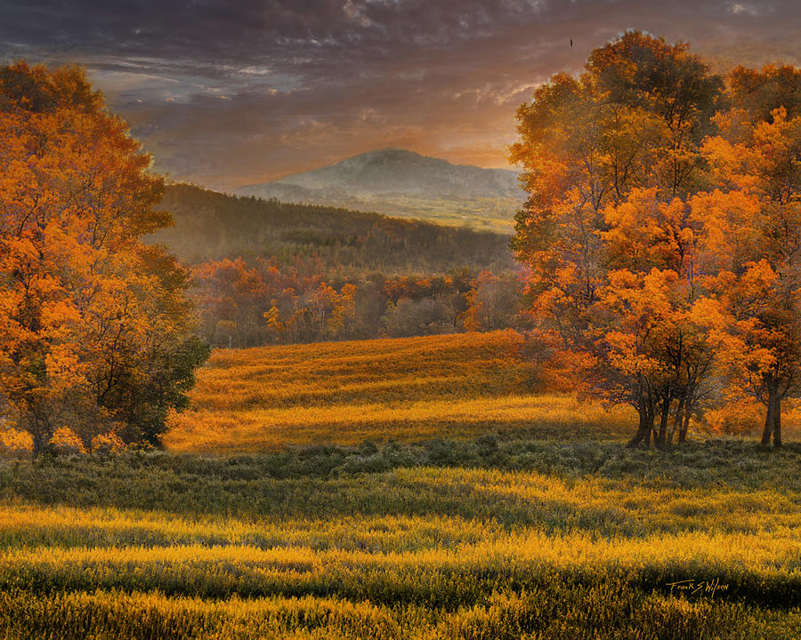 Autumn Pastures D Digital Art by Frank Wilson