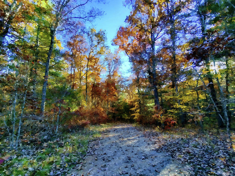 Autumn Path Photograph by Allen Nice-Webb