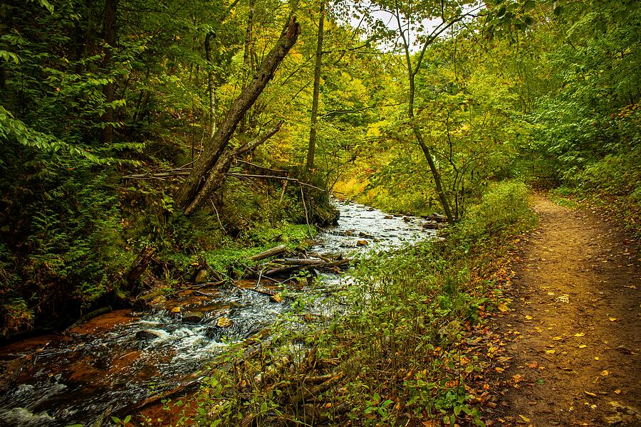 Autumn Trail Along the Cut River - Michigan Upper Peninsula Photograph by Brigitte Blanchette Thompson Autumn Trail Along the Cut River - Michigan Upper Peninsula Photograph by Brigitte Blanchette Thompson