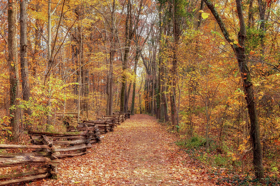 Autumn Path at Lincoln Boyhood Home Photograph by Susan Rissi Tregoning