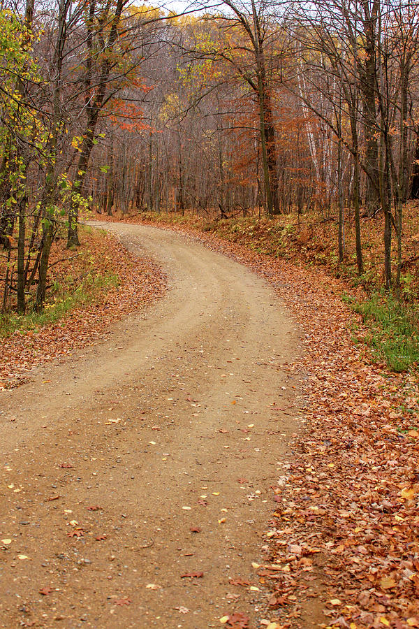 Fall Photograph - Autumn Path by Barb Gabay