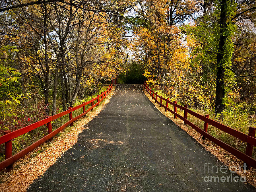Autumn Path Photograph by Bob Mintie