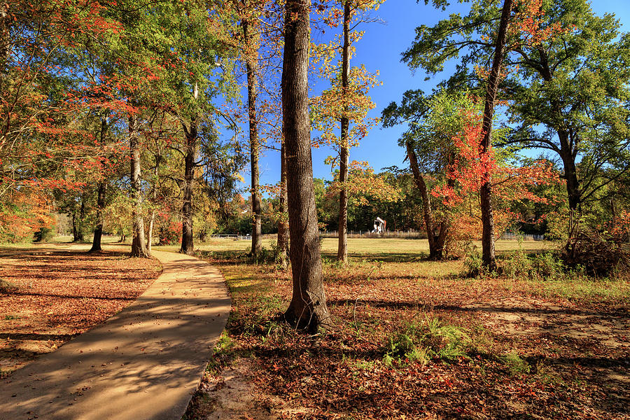 Autumn Path In An East Texas Park Photograph