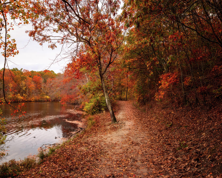 Autumn Path Photograph by John Randazzo