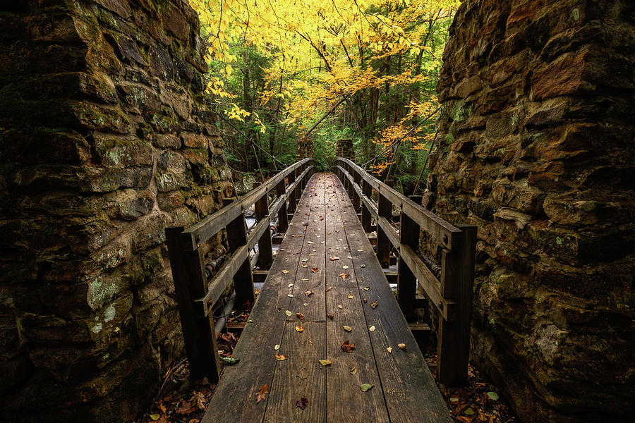 Autumn Pathway Photograph by Darlene Smith