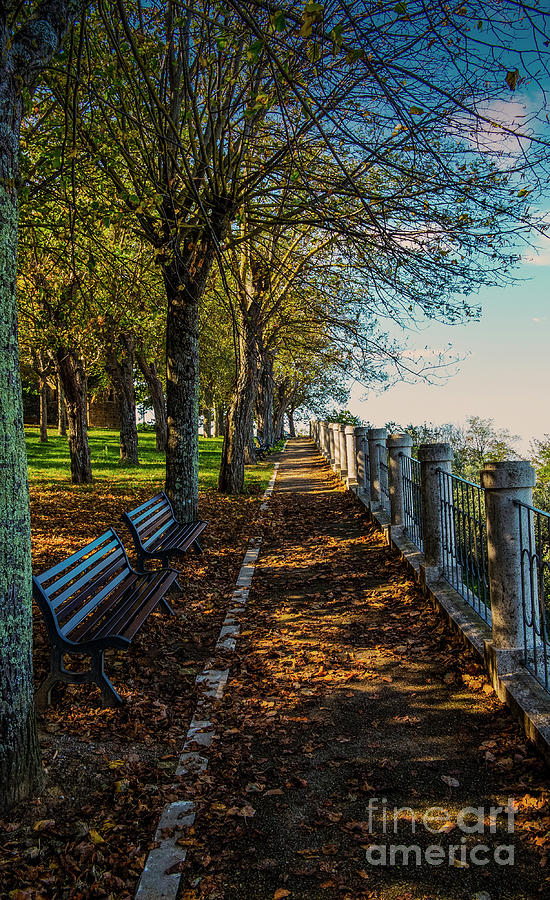 Landscape Photograph - Autumn Pathway by Virgil Harper Landscape Photograph - Autumn Pathway by Virgil Harper