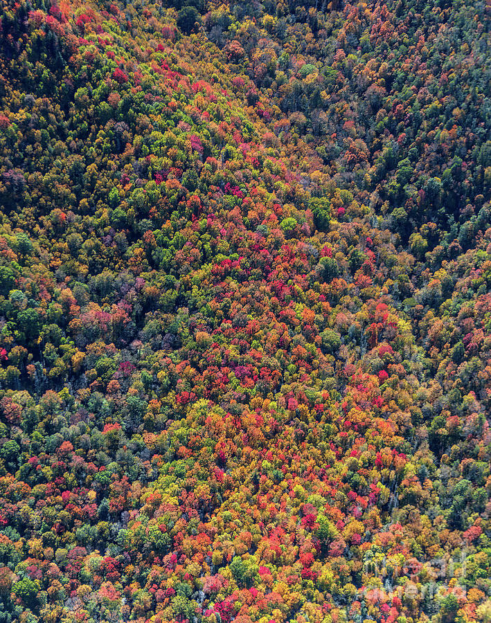 Autumn Peak Colors at Grandfather Mountain State Park Aerial Vie Photograph by David Oppenheimer