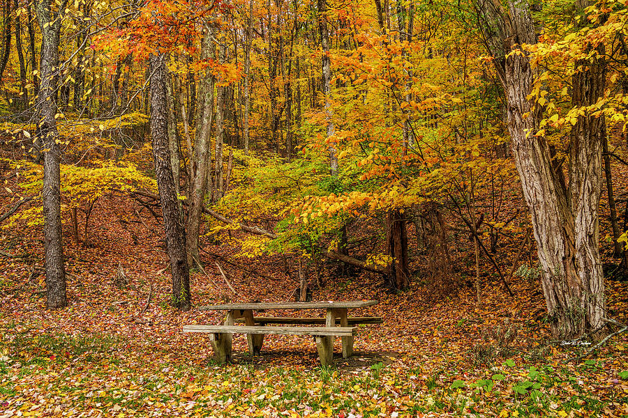 Autumn Picnic Photograph by Dale R Carlson