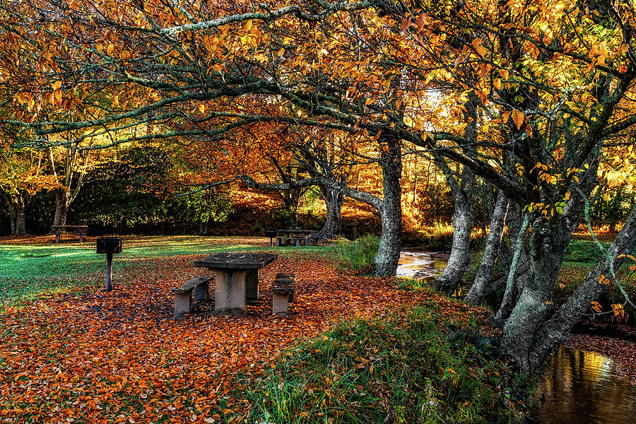 Autumn Picnic Photograph by Dan Carmichael