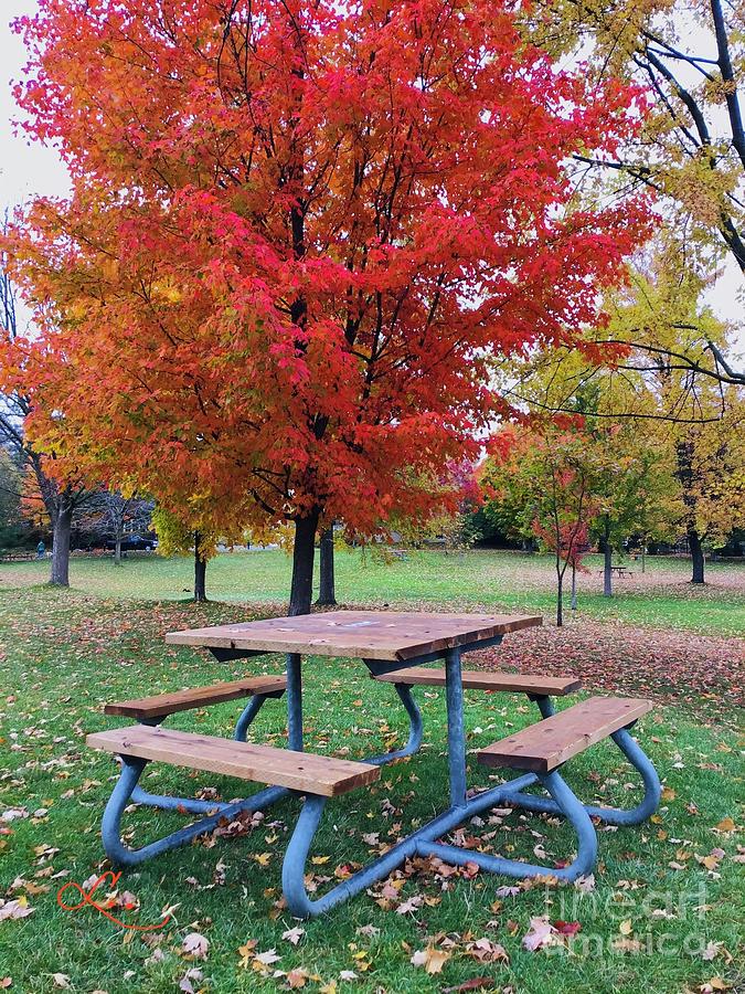 Autumn Picnic Table Photograph by Lynne Paterson