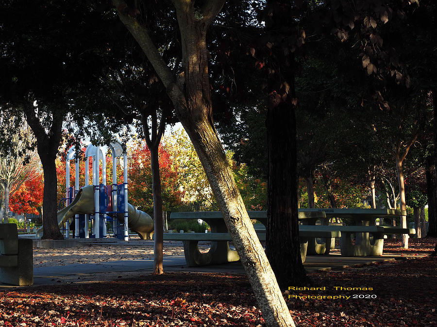 Autumn Playground Photograph by Richard Thomas