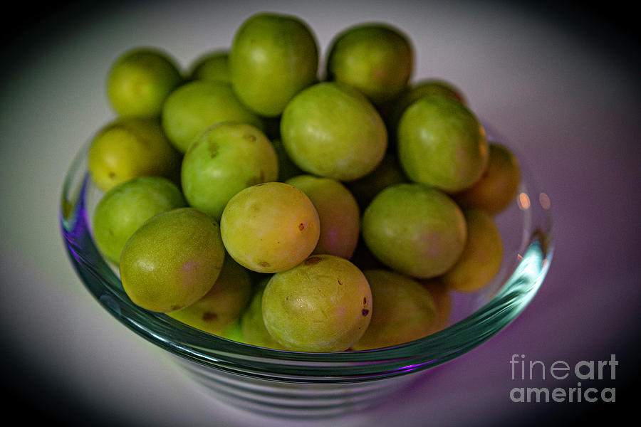 Autumn Plums Photograph