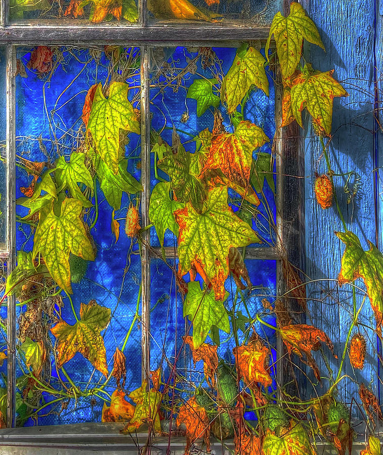 Autumn Podcast in a Window Photograph by Wayne King