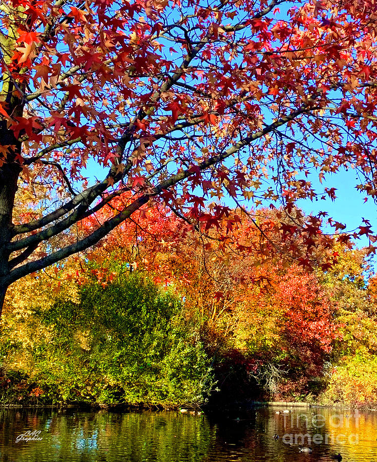 Autumn Pond 2 Photograph by CAC Graphics