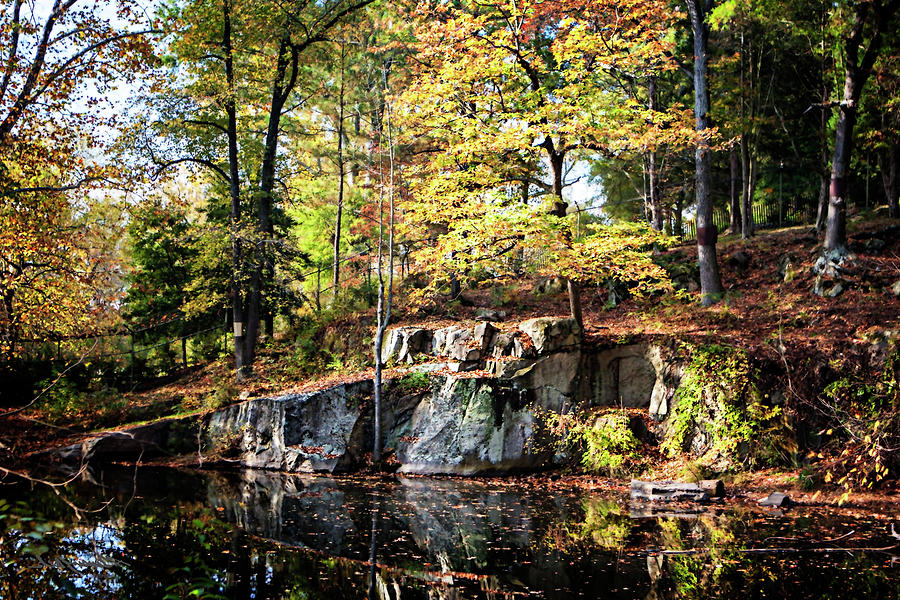 Autumn Pond Photograph by Alan Hausenflock