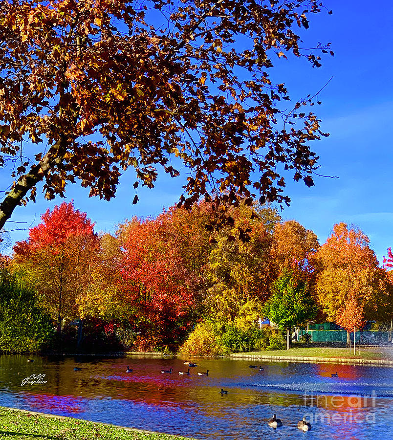 Autumn Pond Photograph by CAC Graphics