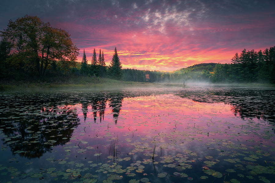Autumn Pond Photograph by Henry w Liu