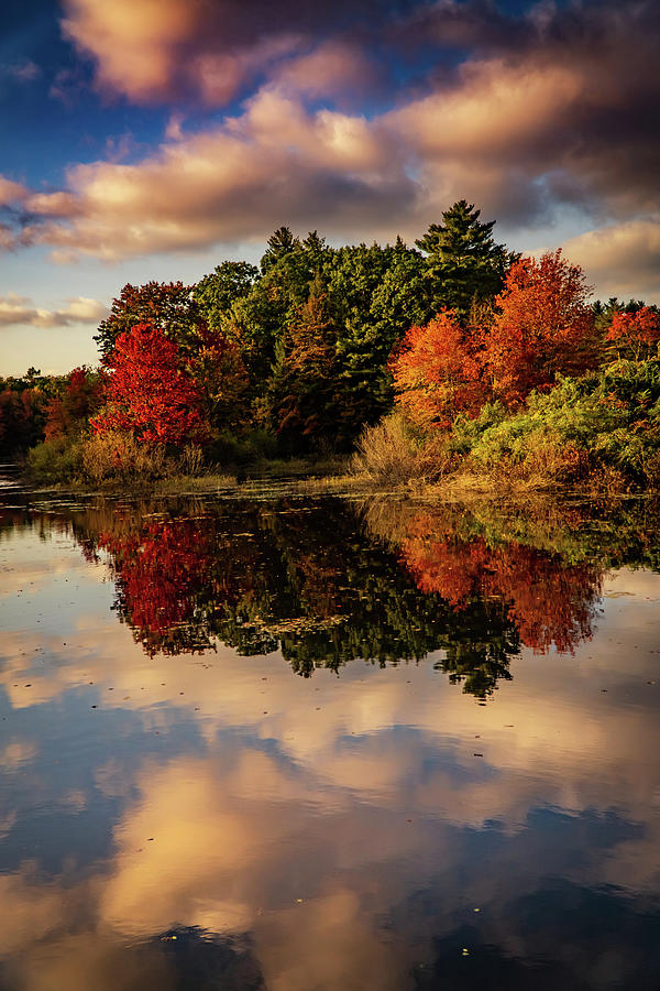 Autumn pond mirror reflections in NH Photograph by Lilia S