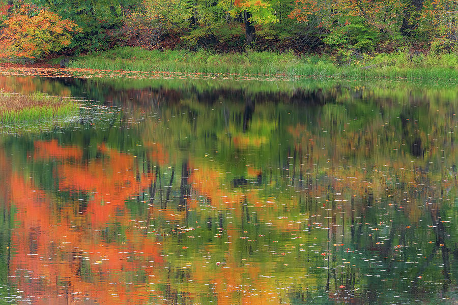 Autumn Pond Reflections Photograph by Alan L Graham