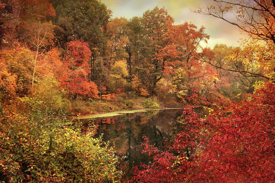 Autumn Pond Views Photograph by Jessica Jenney
