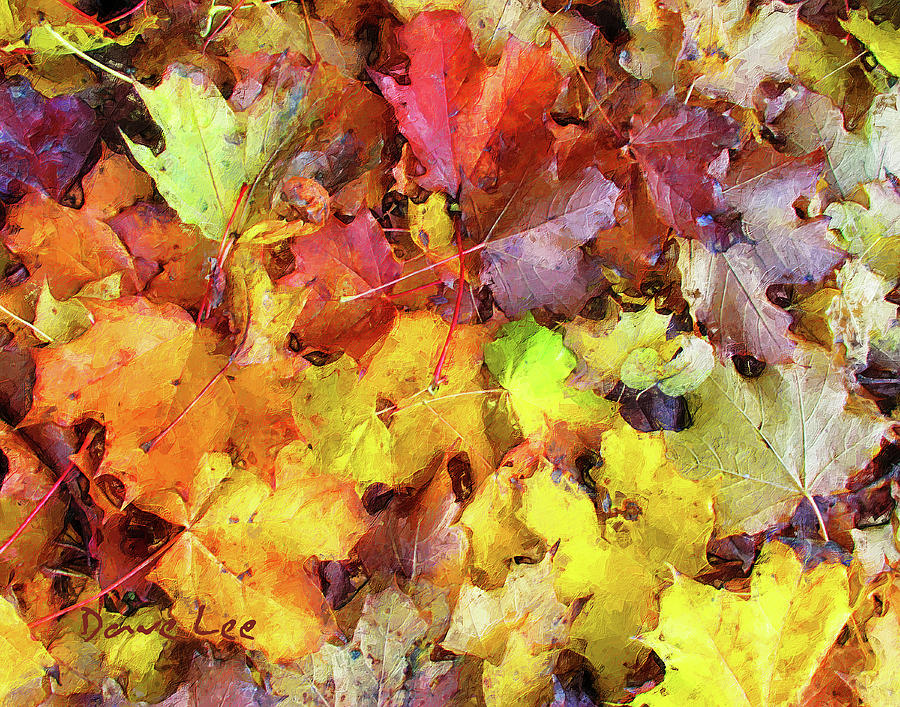 Autumn Potpourri Digital Art by Dave Lee