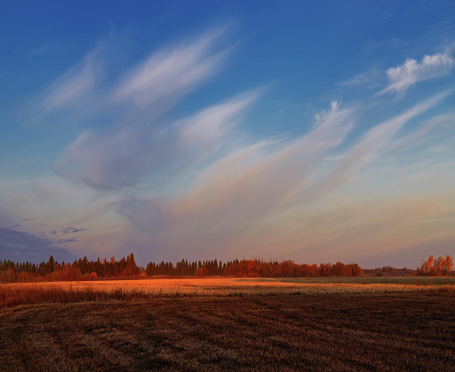 Autumn Prairie Skies Photograph by Dan Jurak