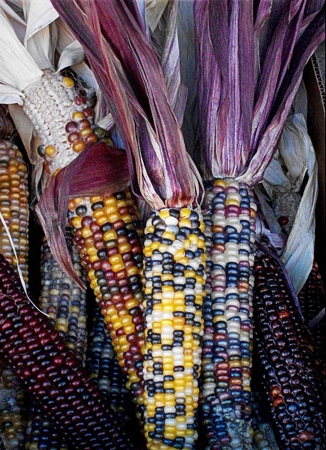 Autumn Produce II - Indian Corn Photograph by Liza Dey