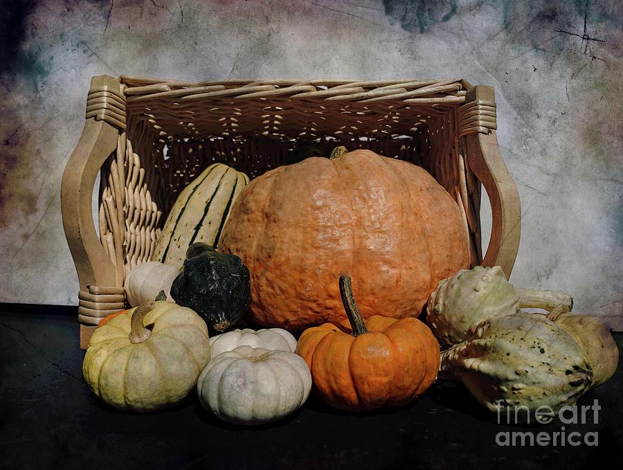 Autumn Pumpkins and Gourds Photograph by Luther Fine Art