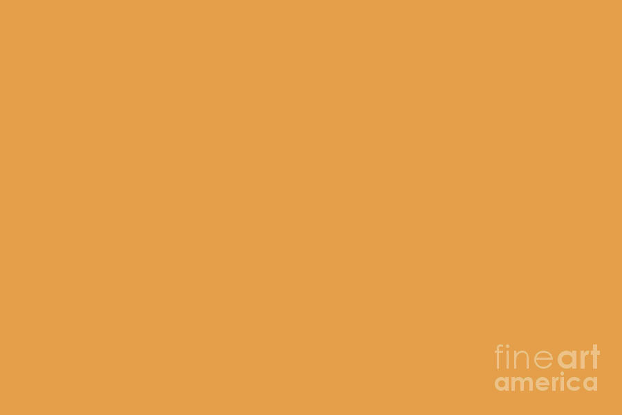 Autumn Pumpkins Solid Color Pairs Sherwin Williams Osage Orange SW 6890 Digital Art by PIPA Fine Art - Simply Solid