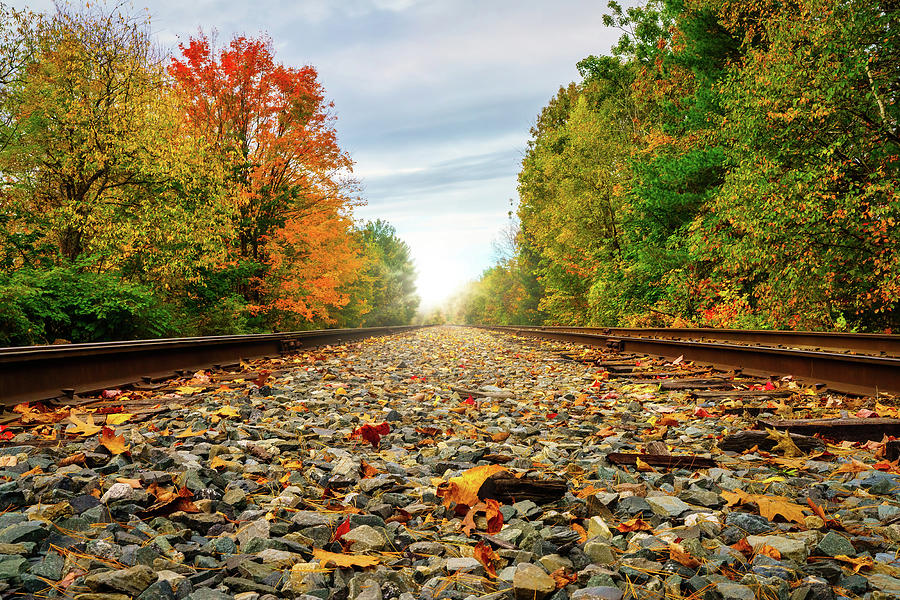 Fall Photograph - Autumn Railroad Bed by Bob Orsillo